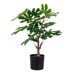 Feigenbaum - Grün, PE-Kunststoff, H:60 cm