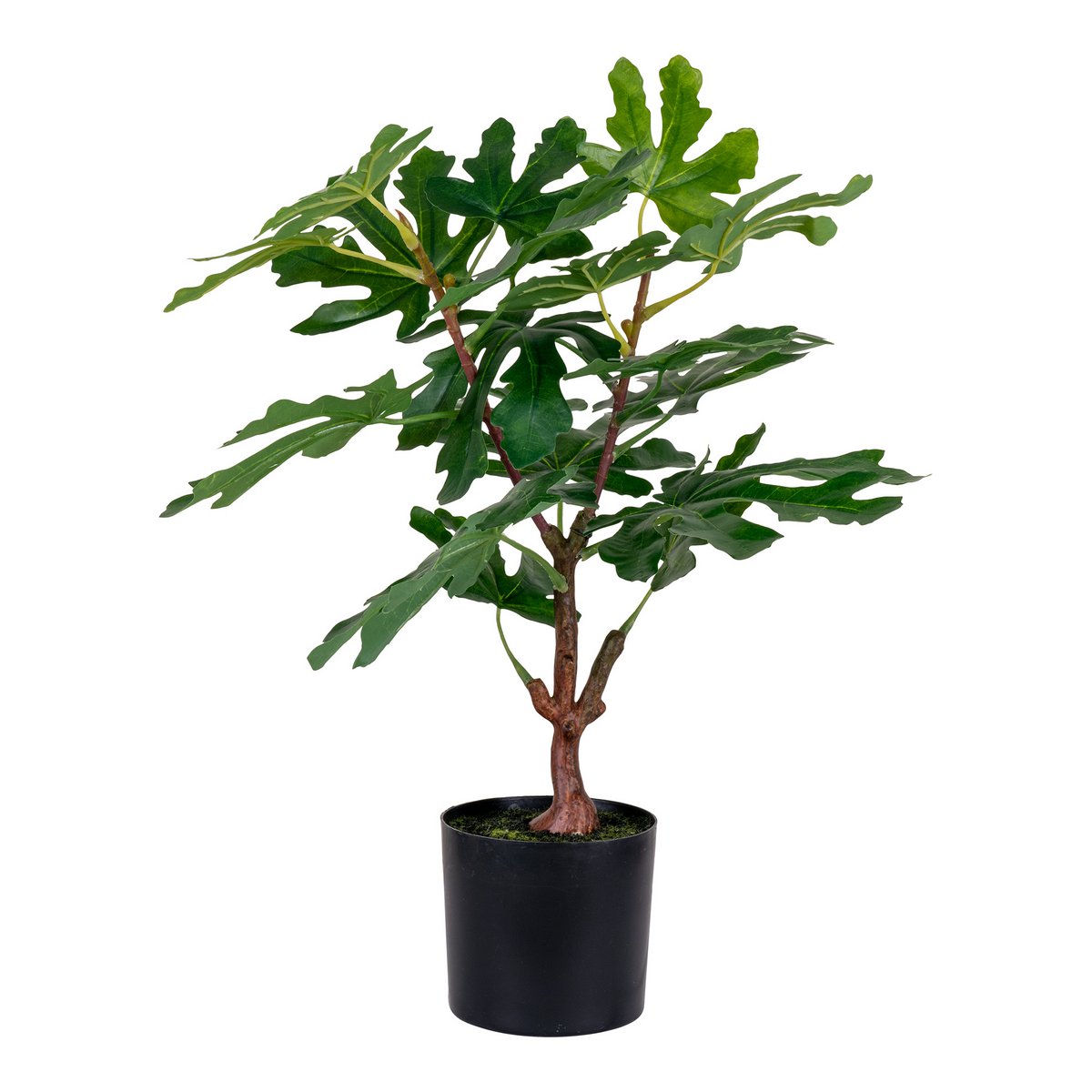 Feigenbaum - Grün, PE-Kunststoff, H:60 cm