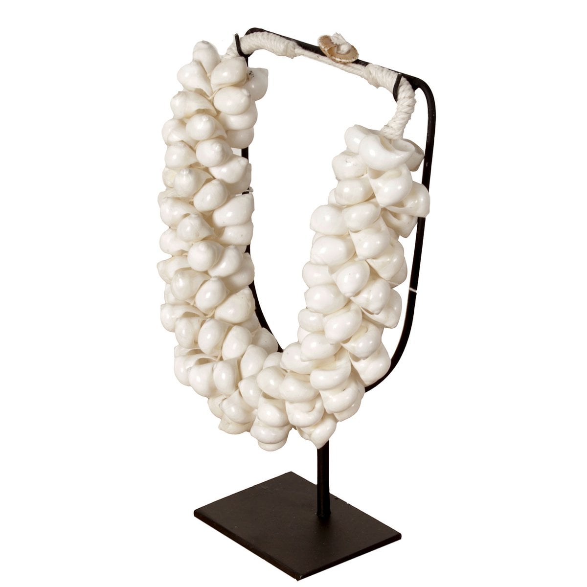 J65 Kleine Muschelkette