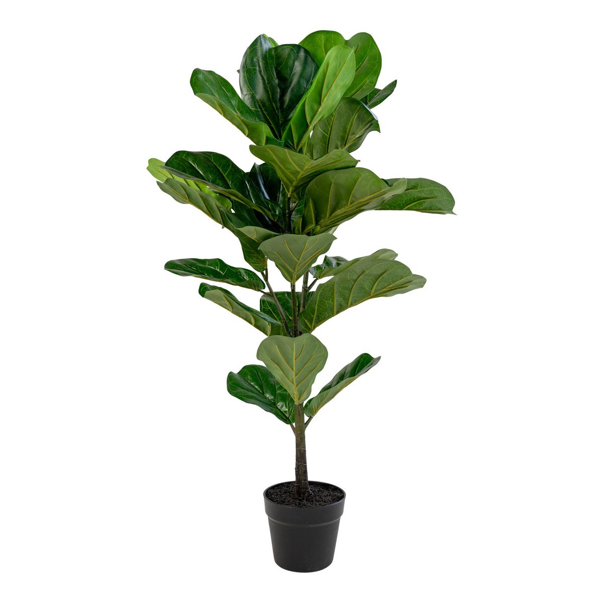 Geigenblattbaum – Grün, PE-Kunststoff/Polyester/Zement, 36 x 46 x 100 cm