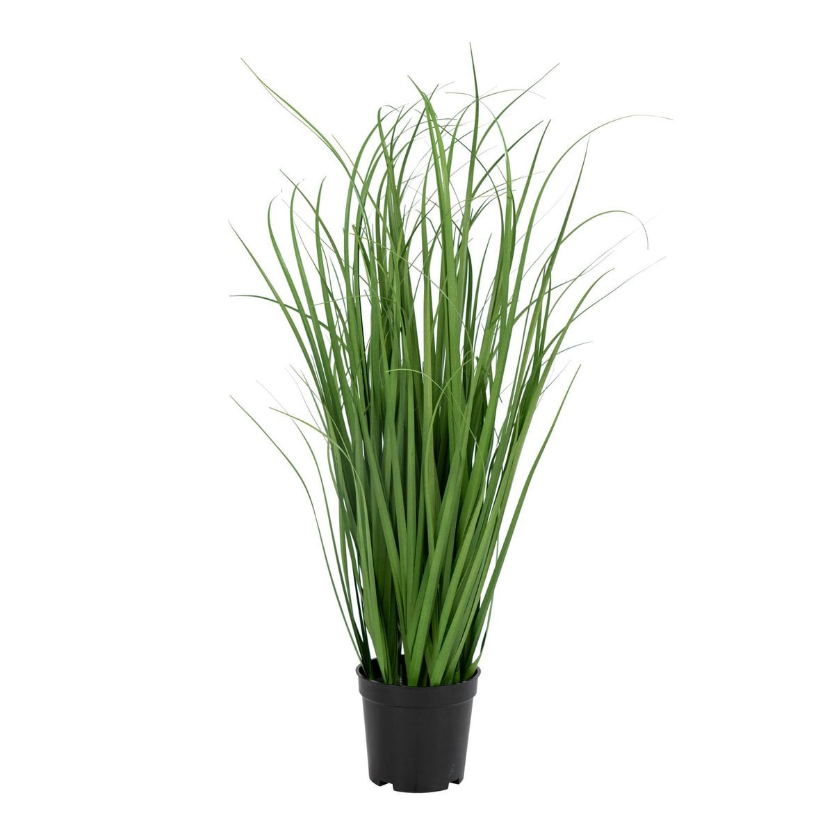 Poa-Gras – Grün, PE-Kunststoff/Polyester, 30 x 30 x 68 cm