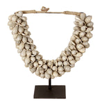 J66 Kleine Muschelkette