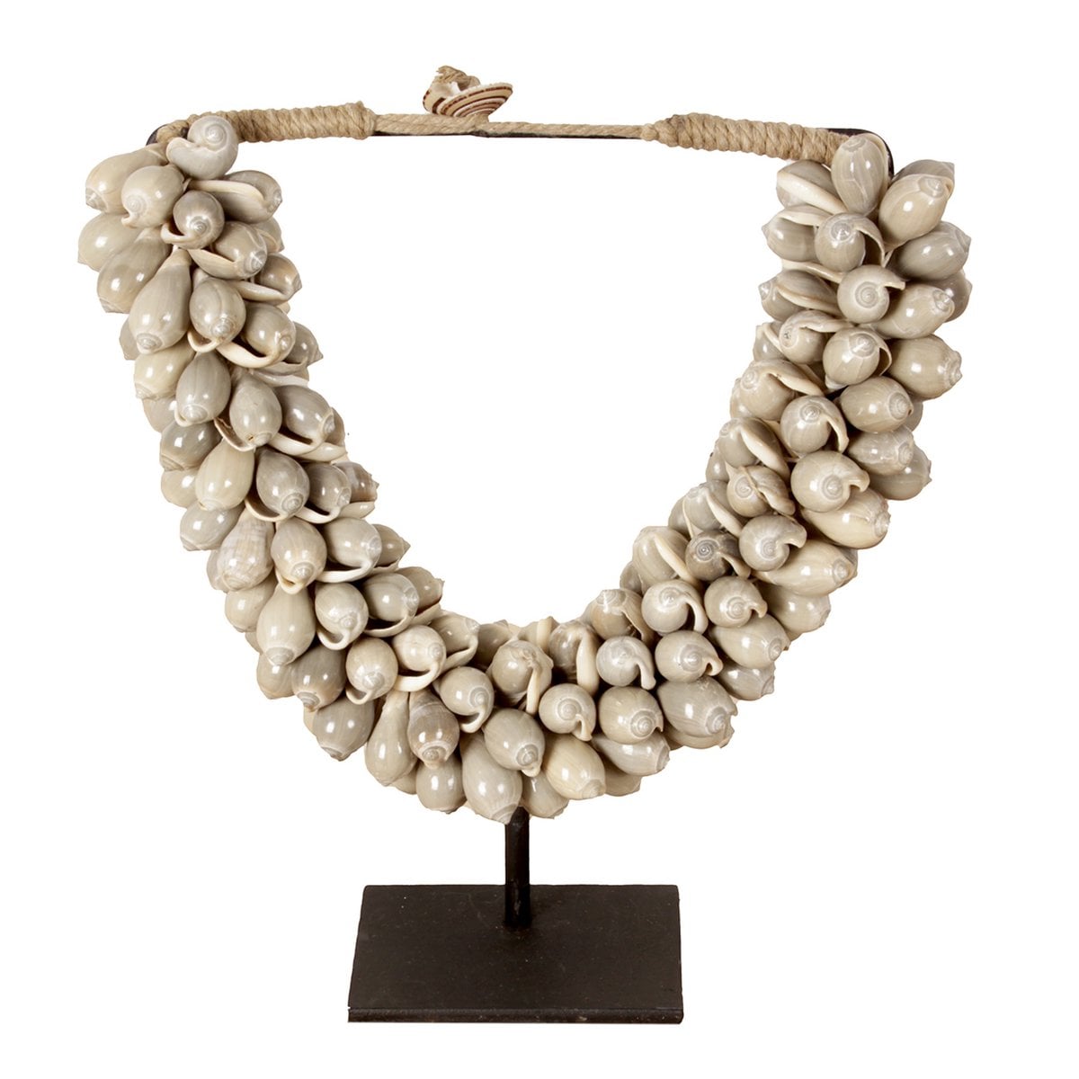 J66 Kleine Muschelkette