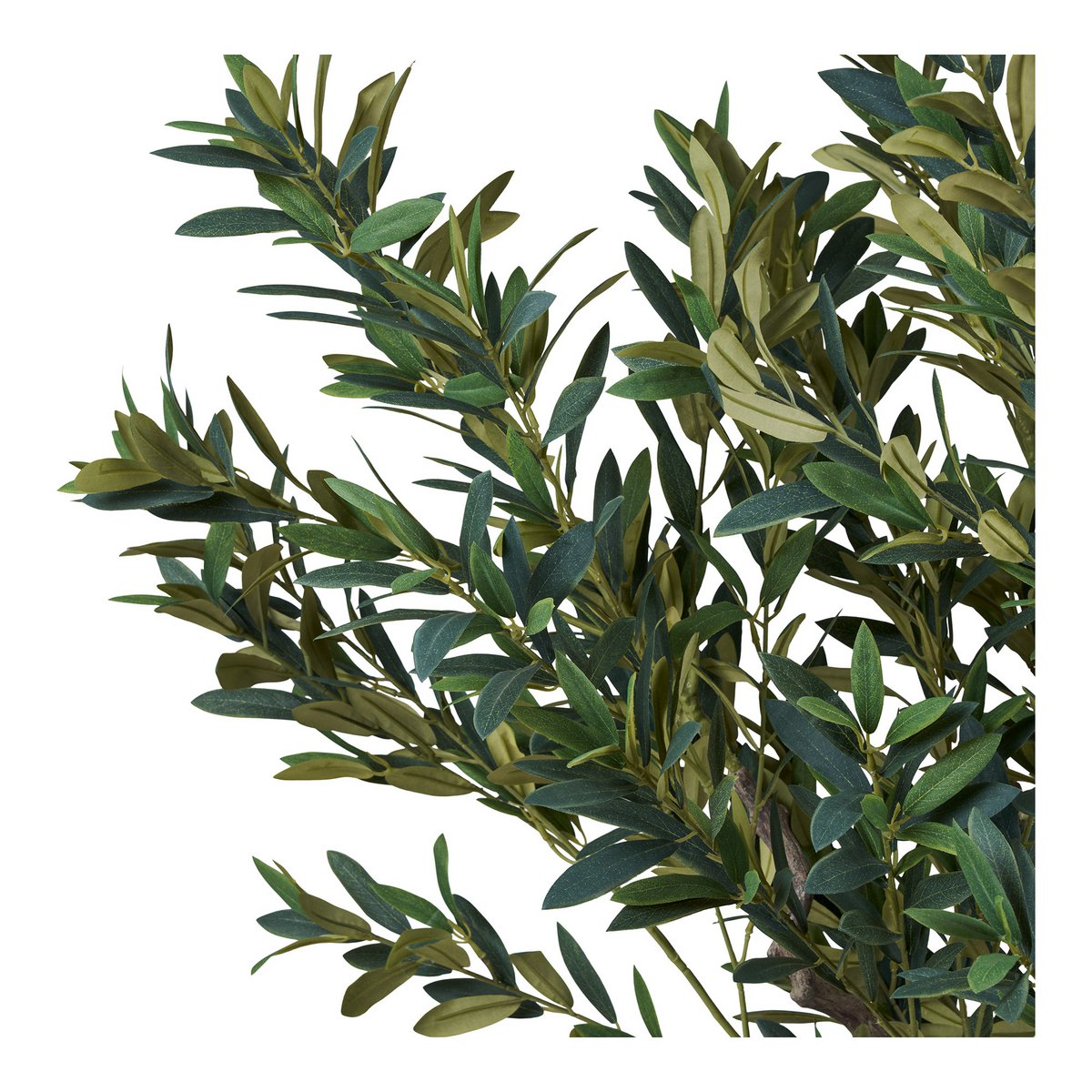 Olivenbaum, Kunstbaum, grün, H:220 cm