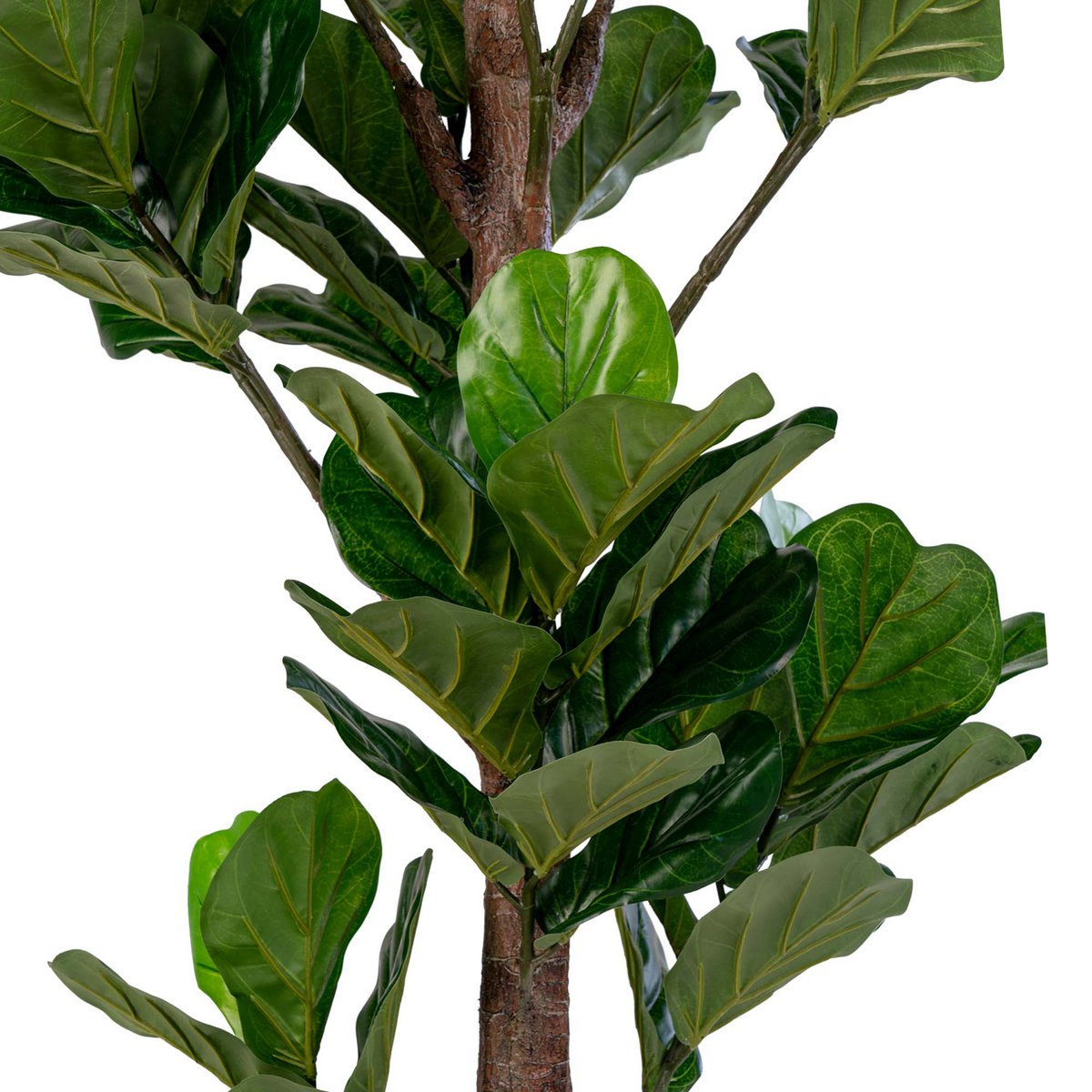 Fiddle Leaf Tree – Grün, PE-Kunststoff/Polyester, 81 x 93 x 190 cm