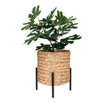 Antas Pflanzgefäß – Natur/Schwarz, Wasserhyazinthe, Metall, 23,5 x 23,5 x 29 cm