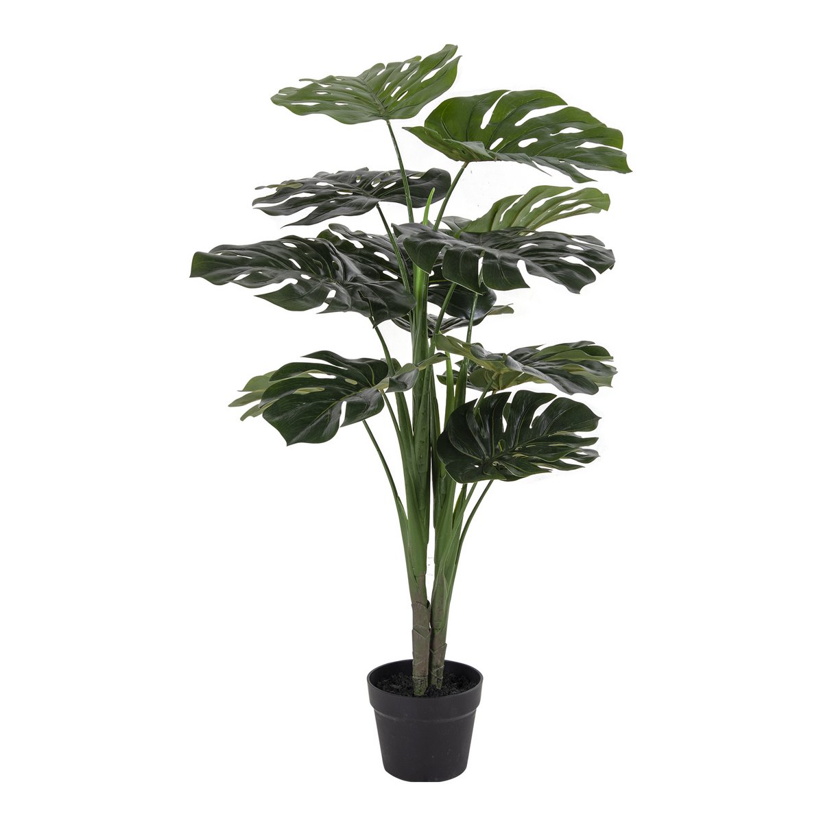 Monstera – Grün, PE-Kunststoff/Polyester/Draht/Zement, 17 x 18 x 90 cm