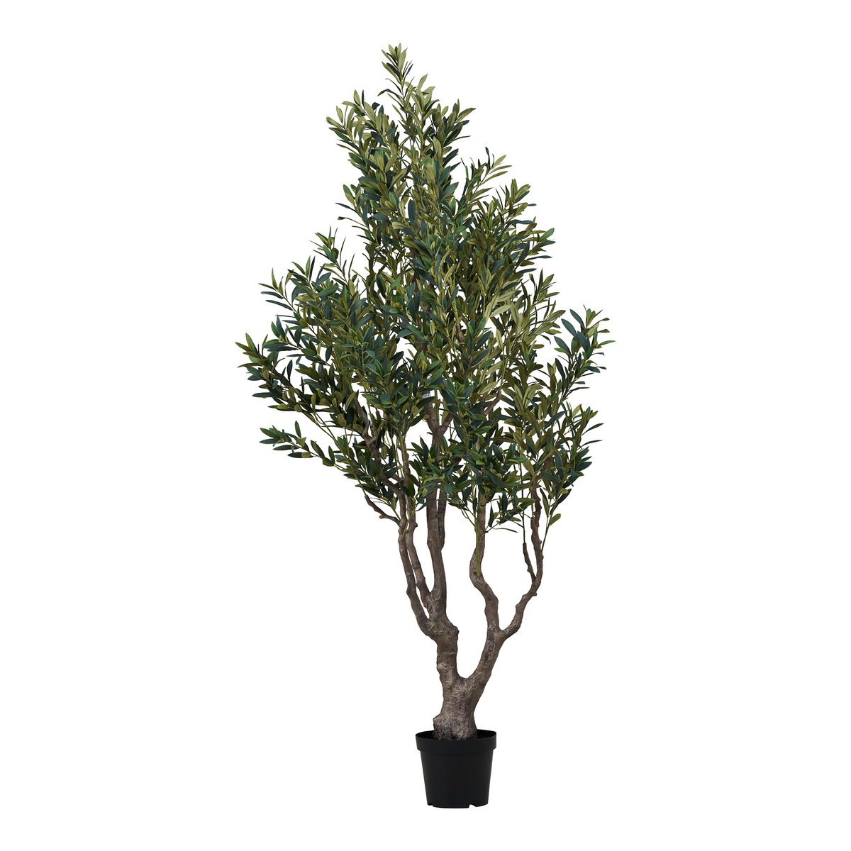 Olivenbaum, Kunstbaum, grün, H:220 cm