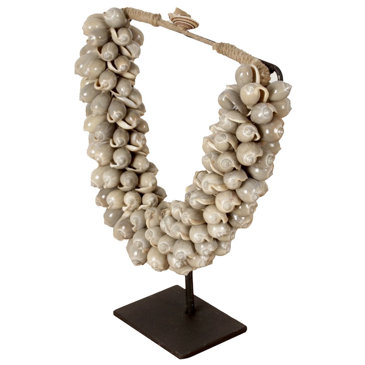 J66 Kleine Muschelkette