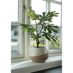 Feigenbaum - Grün, PE-Kunststoff, H:60 cm