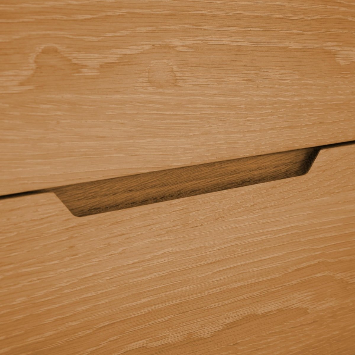 Sideboard 160 cm Wildeiche mit 2 Türen | ibbedesign