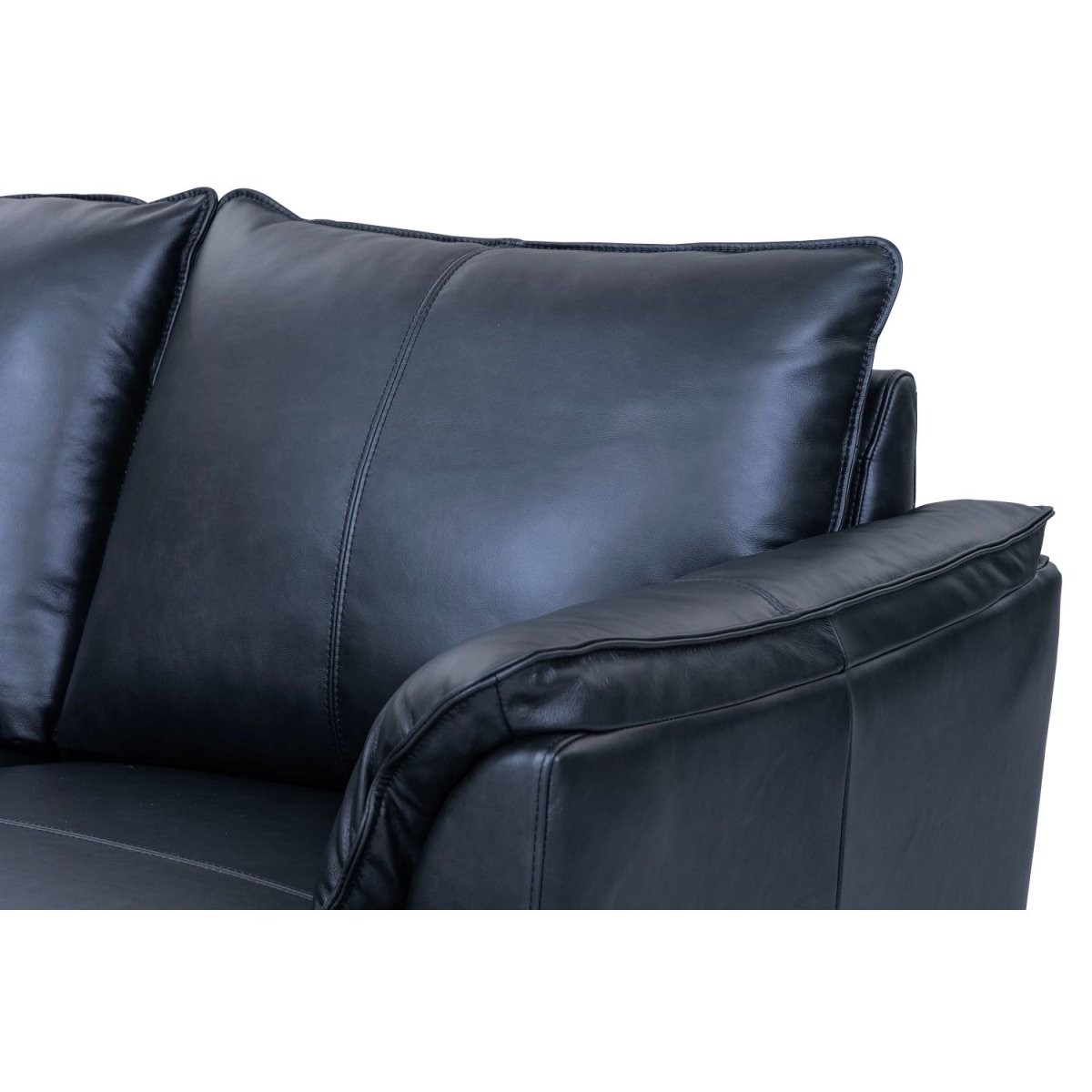 2-Sitzer Ledersofa Soul – Echtleder Schwarz, Skandinavisch